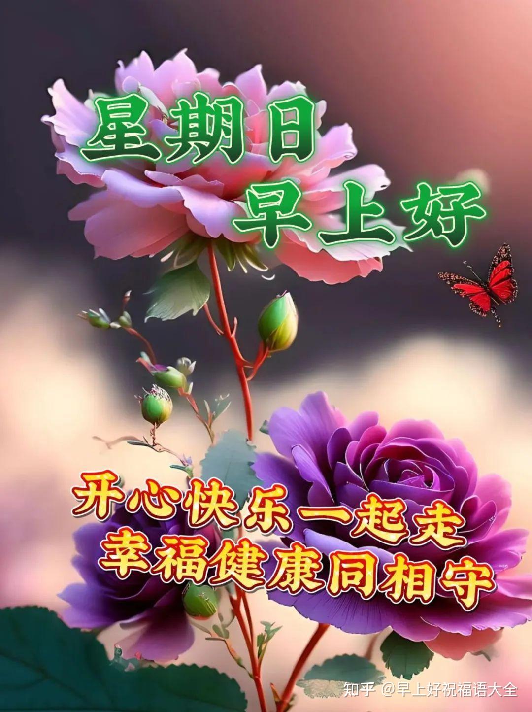 最新早上好祝福问候语图片大全集_微信早上好祝福语大全早安问候语 - 星星物语