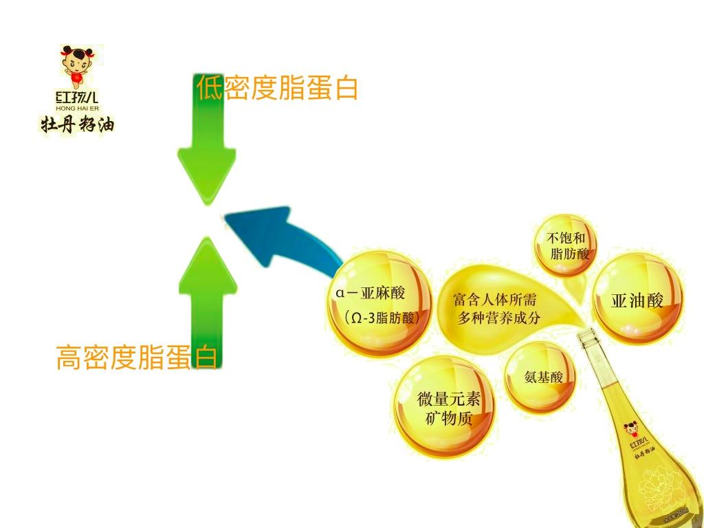 红孩儿牡丹籽油特聘营养师为你详解低密度脂蛋白