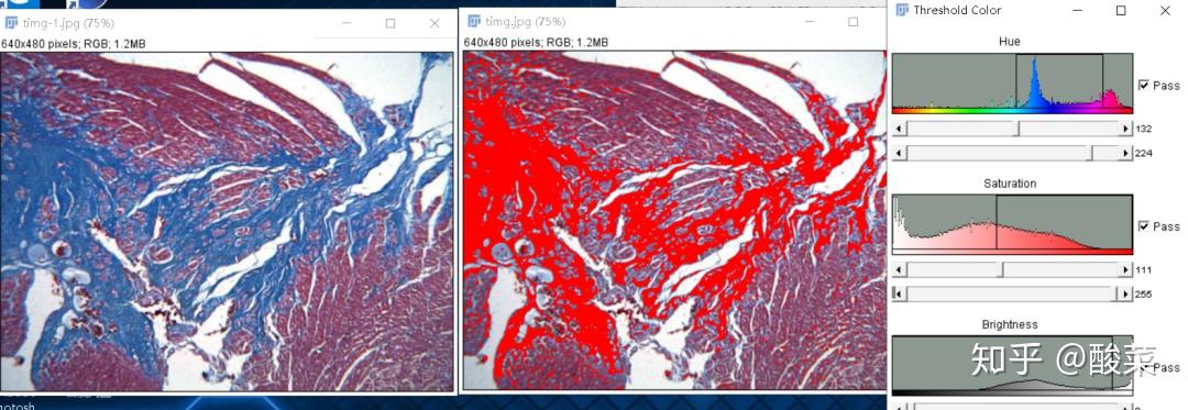 ImageJ高效图片分析技巧 - 知乎