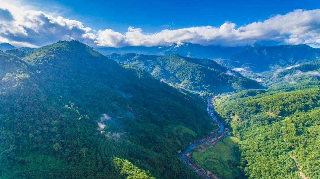 霸王岭自然保护区