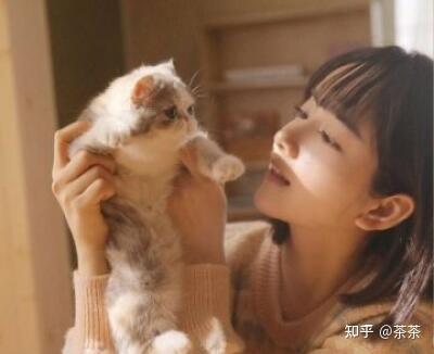 喜欢猫的女生什么性格？怎么追喜欢猫的女生 - 知乎