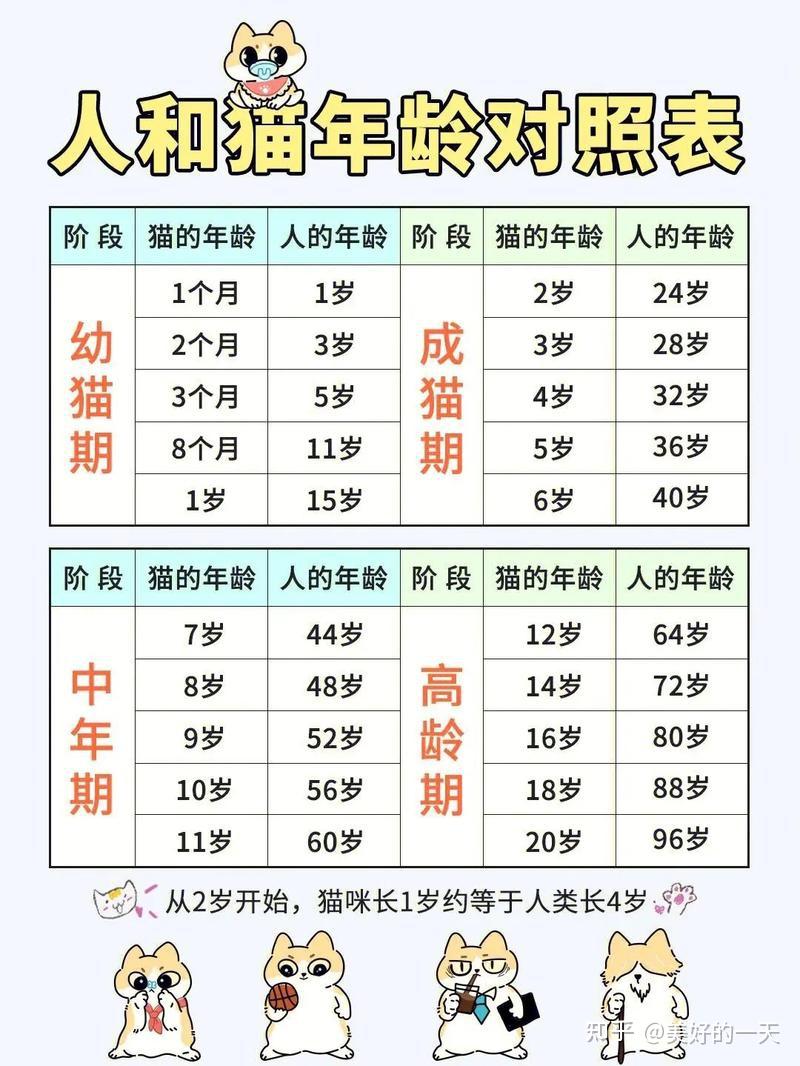 猫1岁=人7岁?这早已是过去式,正确的年龄对照表在这里! - 知乎