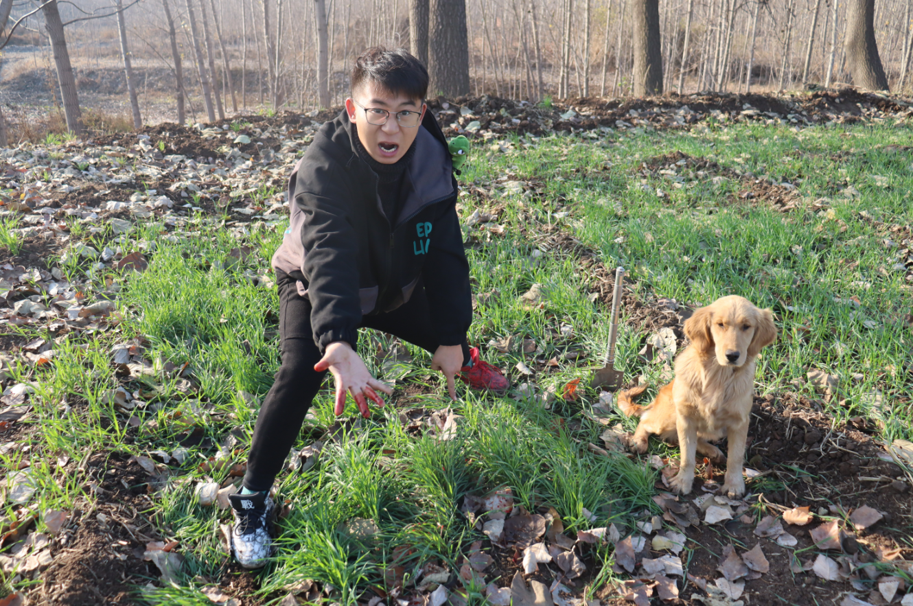 狼牙沟传出动物打斗声金毛追踪气味发现血迹和羽毛凶手是谁