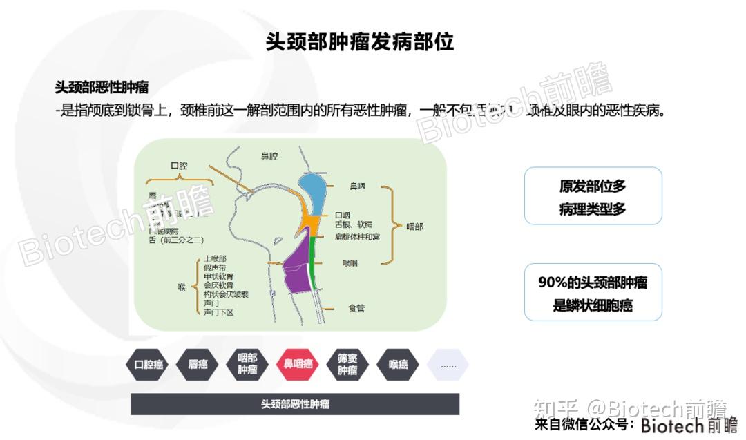 头颈部鳞癌迎来首款国产PD-1,汇总头颈部肿瘤流行病学和研究进展 - 知乎