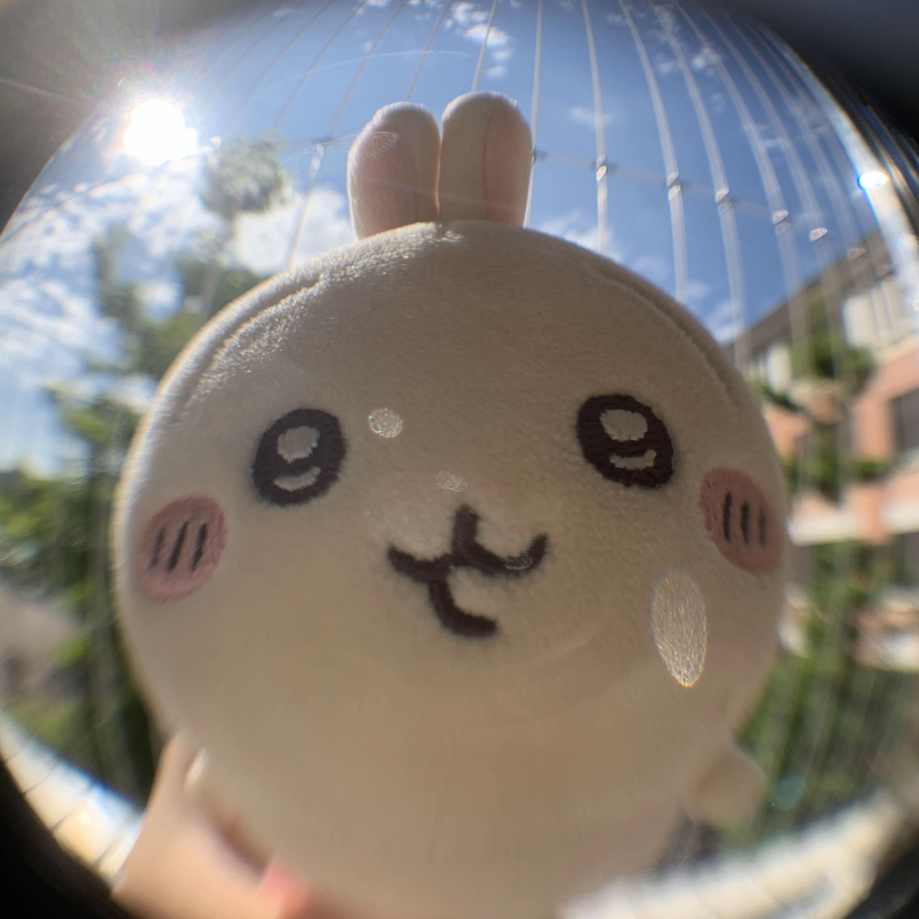 乌萨奇是谁？是什么东西？ - 知乎