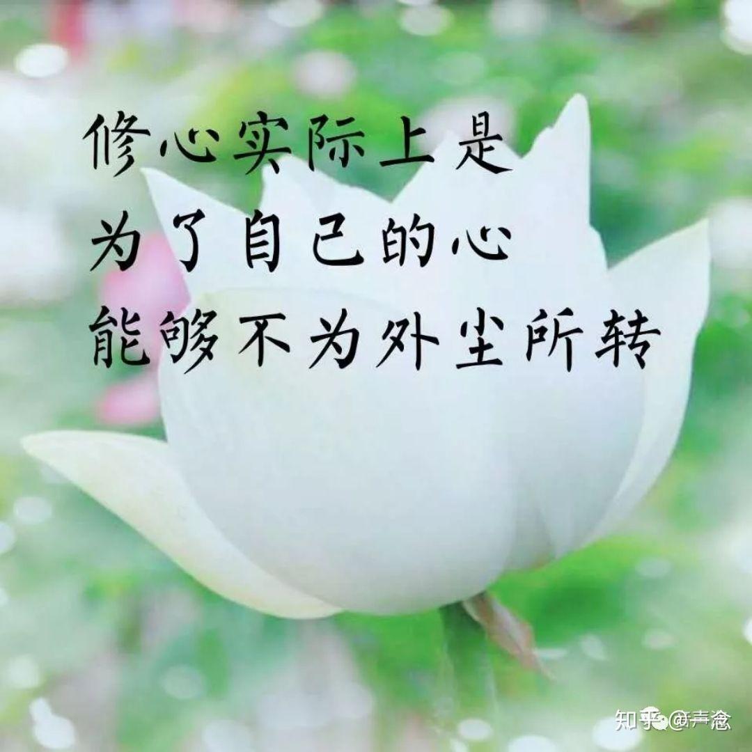 心灵禅语 - 知乎