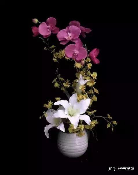 天价!天价!名贵植物排行,令人大开眼界-名贵植物图片