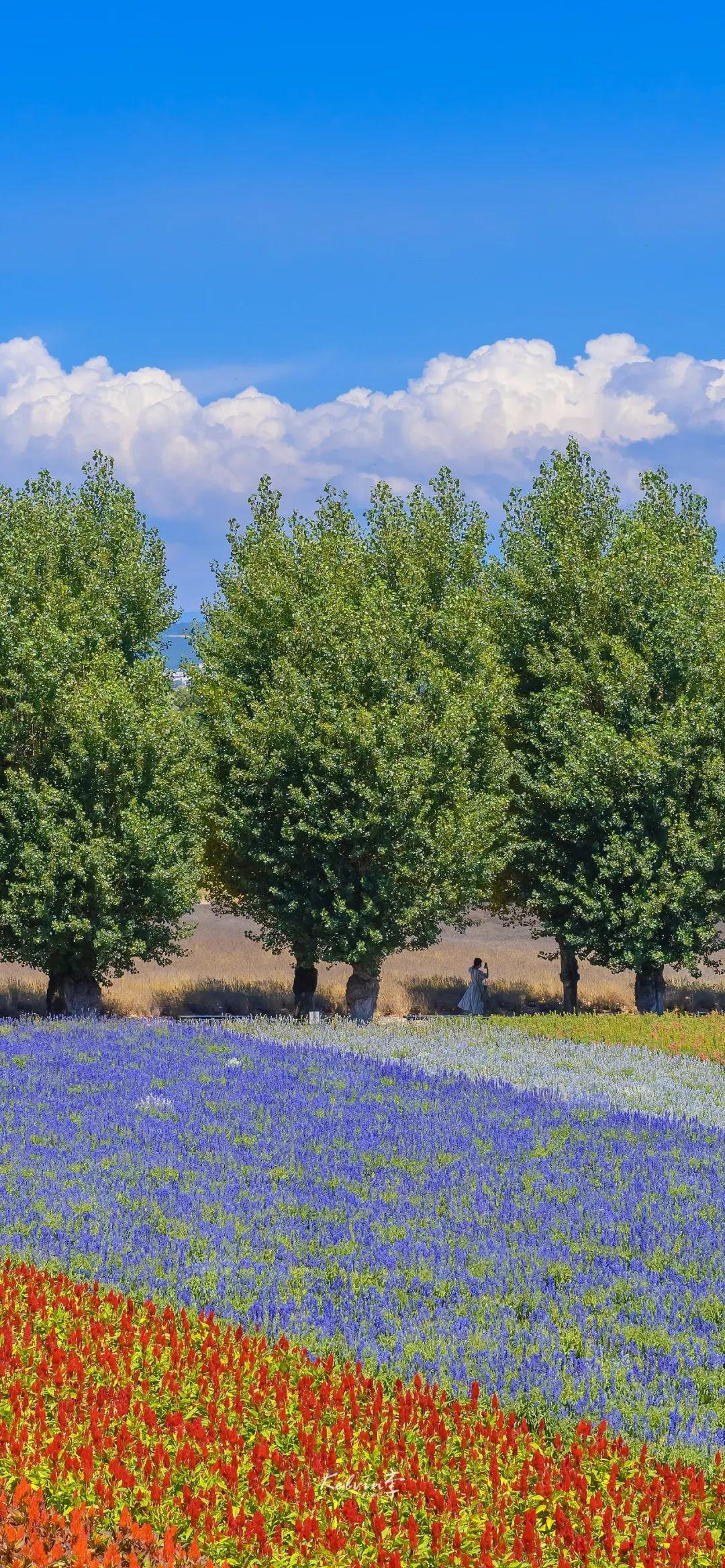 风景壁纸（18张） - 知乎
