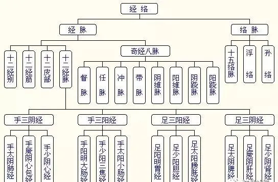 这12条经络分别连着人体12个脏器,所以这些经络都是用相连的脏器命名