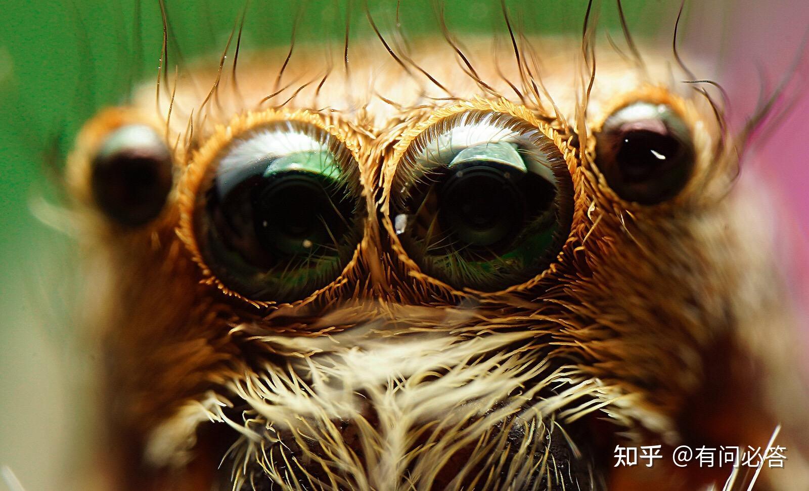 拍摄中运用到的三种特写镜头