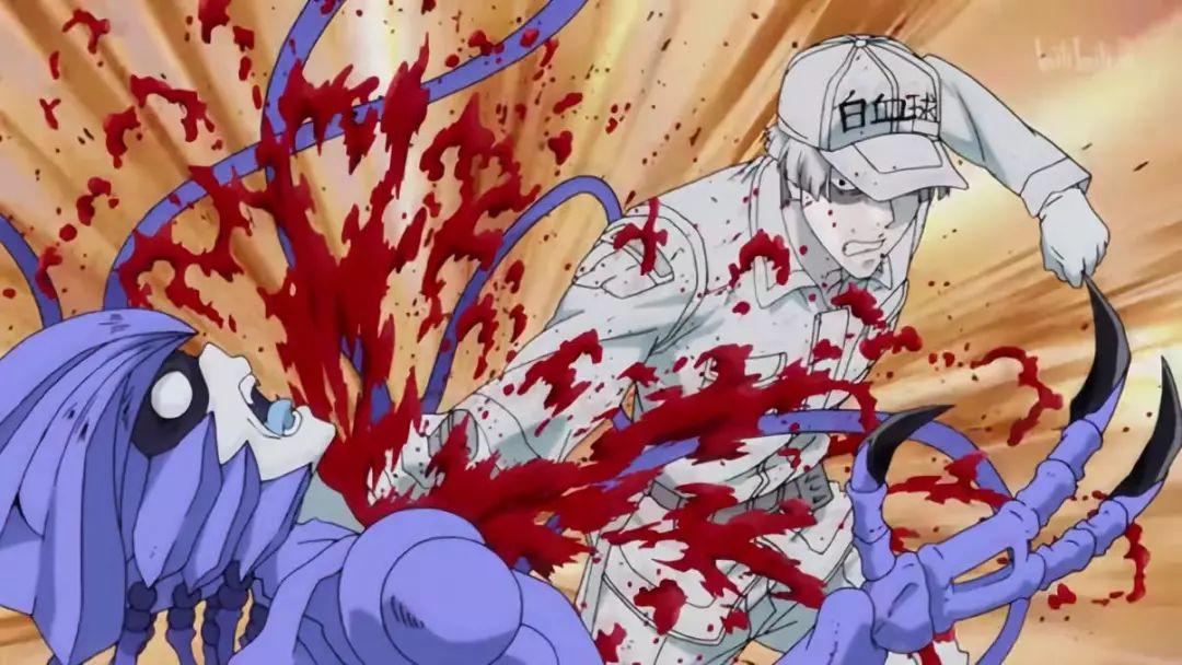 现实中的工作细胞是如何大战细菌的