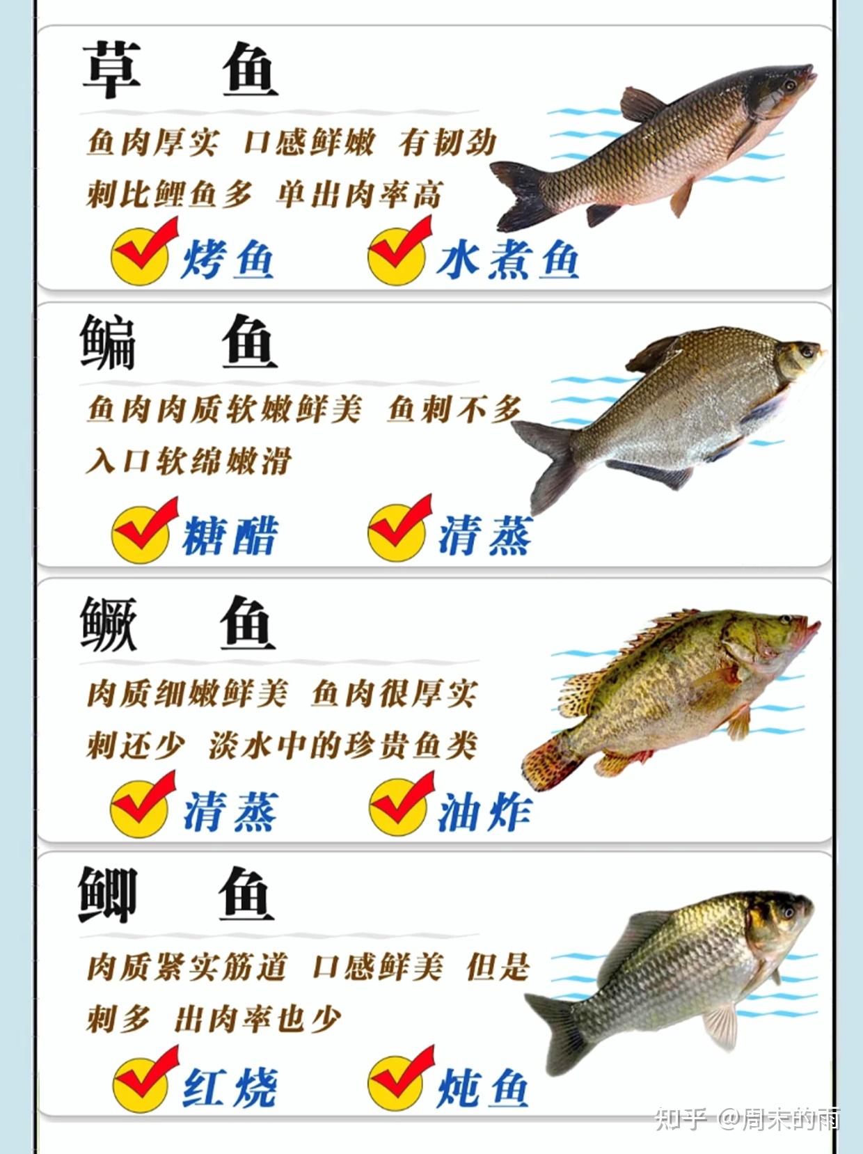 常见淡水鱼类的生物学分类_word文档在线阅读与下载_免费文档