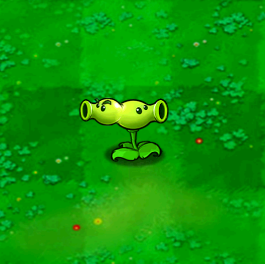 莲叶「lily pad」:王莲※如果你在普通的莲叶上放个核桃,莲叶马上翻