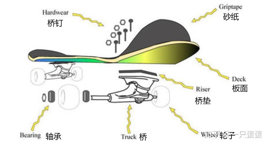 初学者推荐什么滑板?滑板选购指南