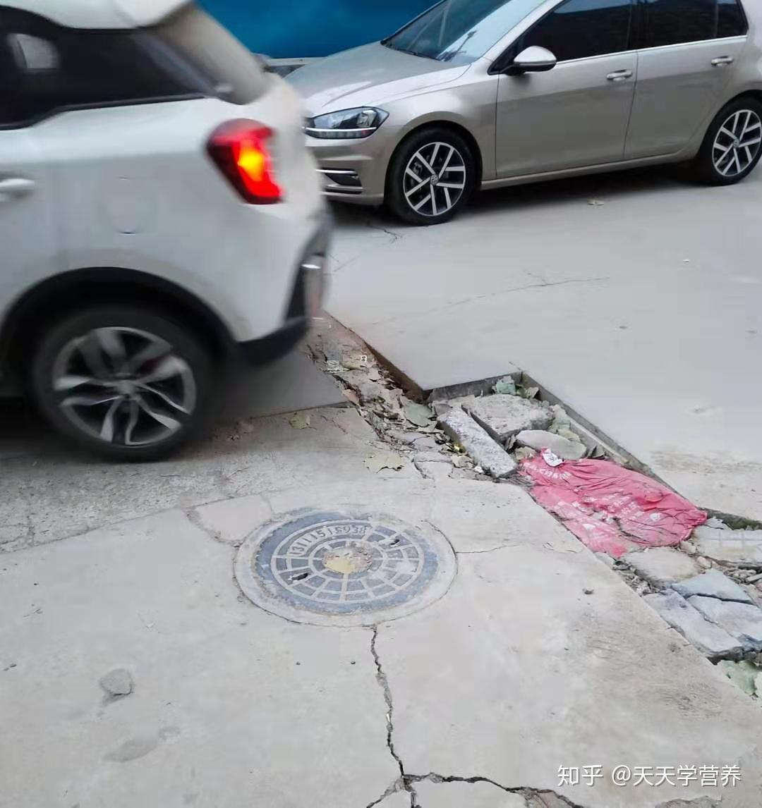 新手司机不会停车老司机不讲武德