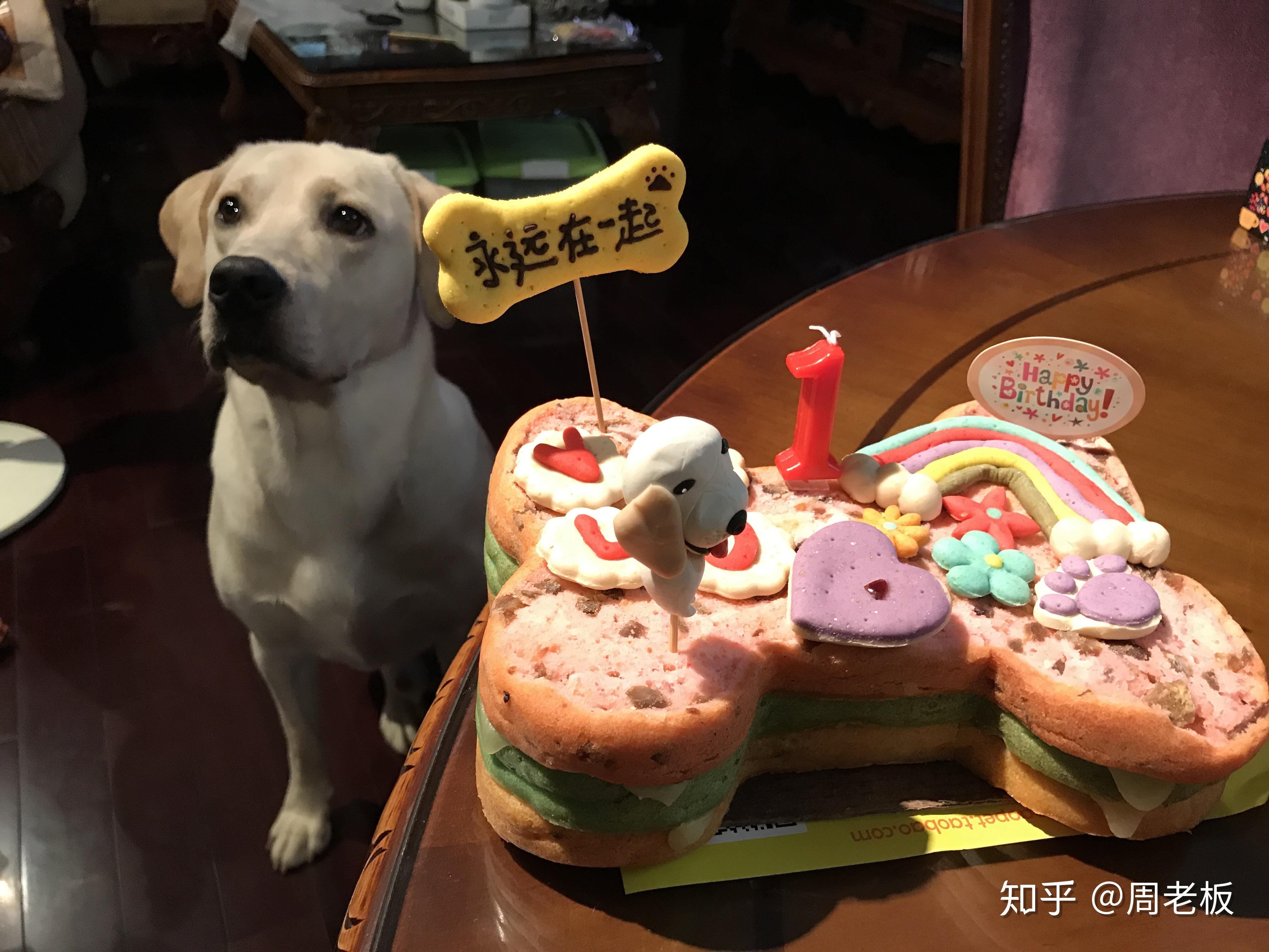 小狗蛋糕怎么做_小狗蛋糕的做法_Mi_manchi_豆果美食