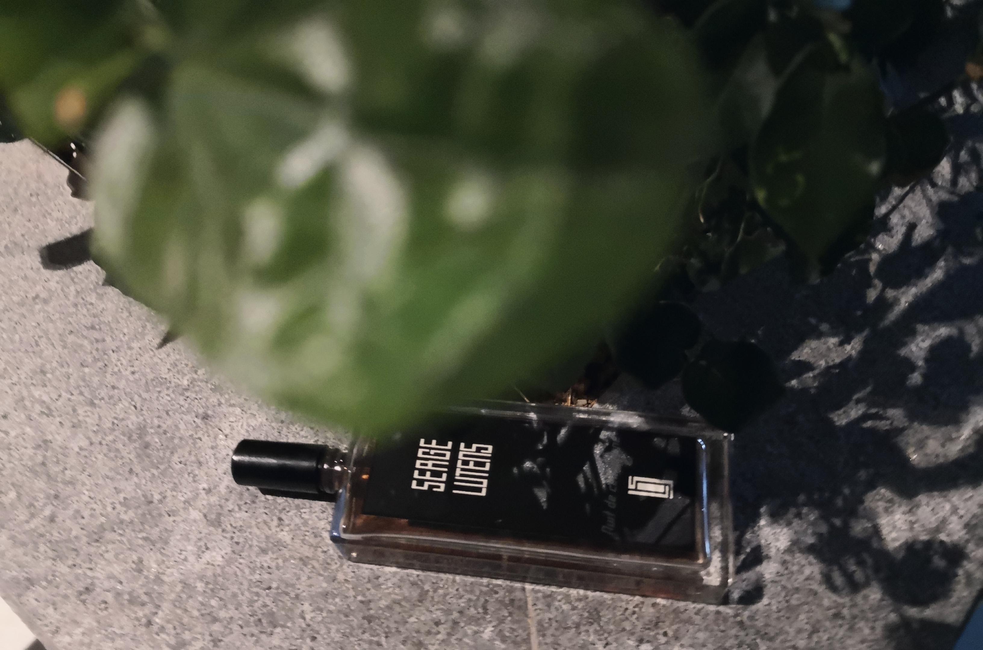 芦丹氏的这支八月夜桂花与她们家其他作品相比,味道轻薄透明,略微清甜