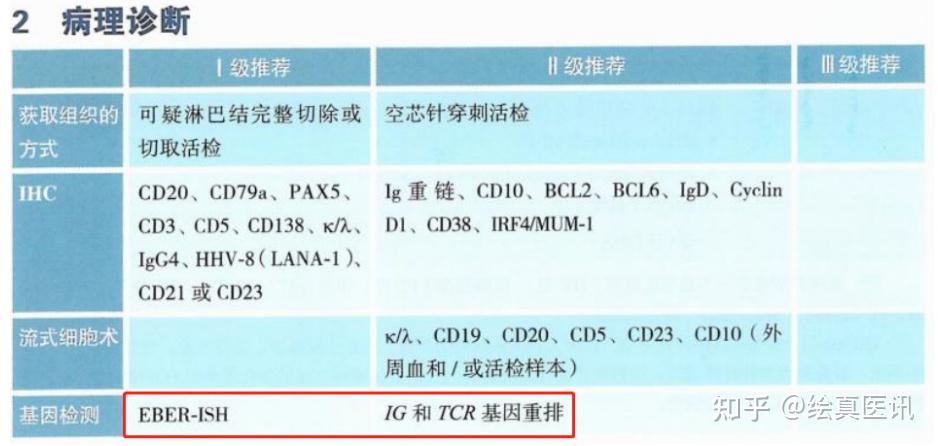 解读2023CSCO指南推荐淋巴瘤应进行哪些基因检测 - 知乎