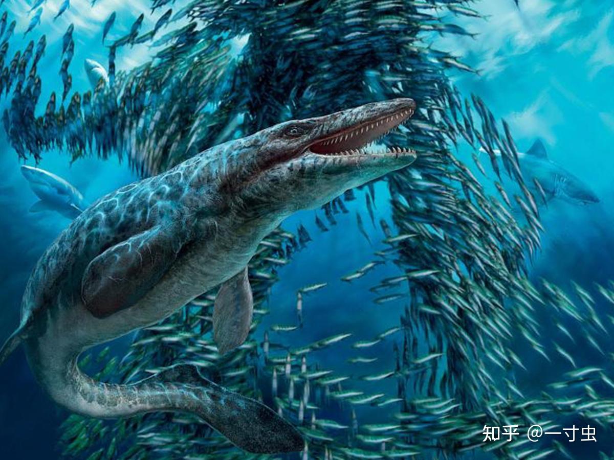 沧龙从何而来作为白垩纪晚期的海洋霸主它还有哪些秘密