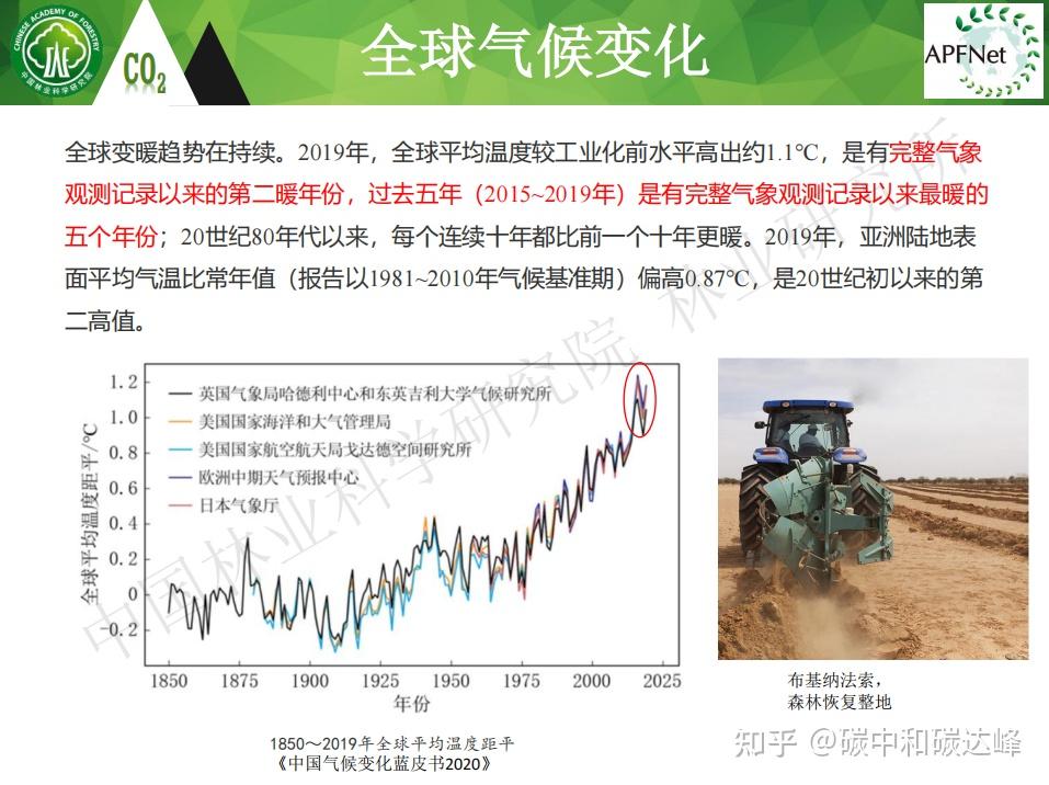 碳中和背景下森林碳汇基本知识 - 知乎