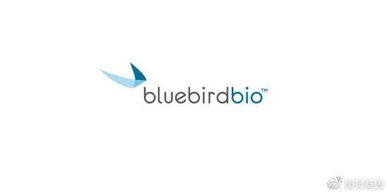 精准医疗先行者蓝鸟生物公司