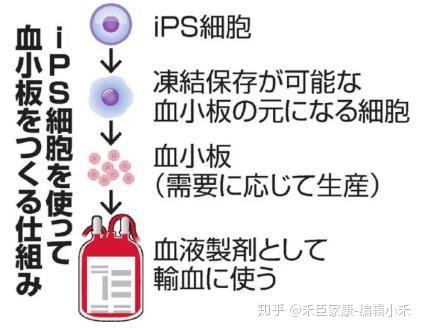 京都大学设立专门研究中心推进ips细胞制作大量血小板的技术实用化 知乎