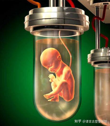 人造子宫快要问世美丽新世界即将来临结果早有预测