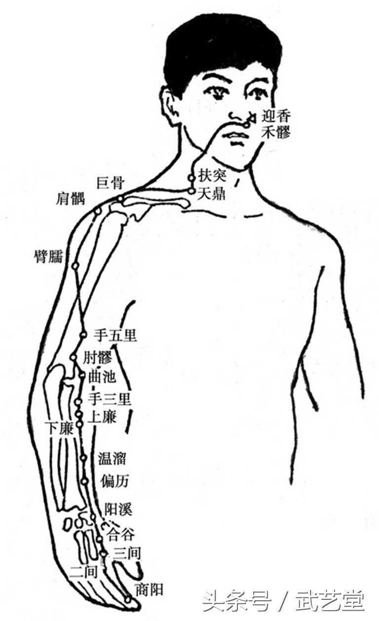 古今十四经脉与穴位