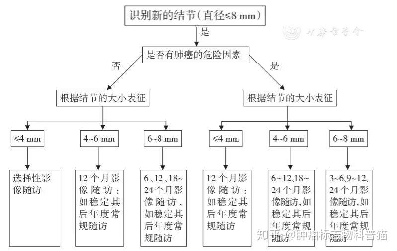 一文讲清楚肺部结节：肺结节诊治中国专家共识（2018年版） - 知乎