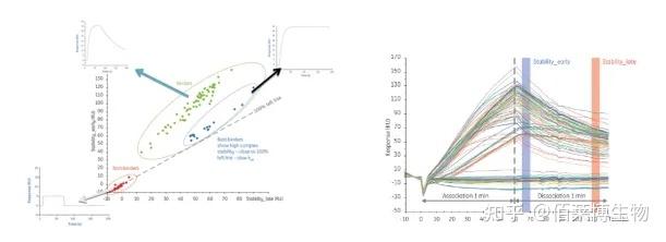 表面等离子共振(SPR)实验技术 - 知乎