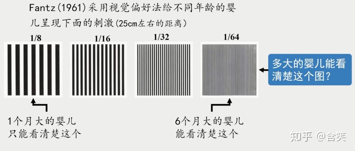 婴儿研究方法视觉偏好法(the preference method)