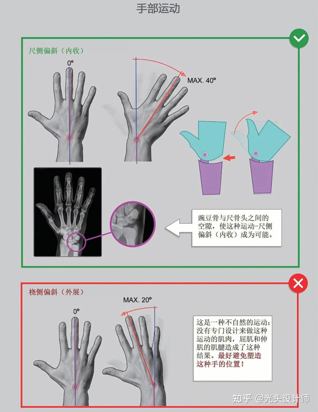 手部建模如何布线?1分钟快速理解手部结构 - 知乎