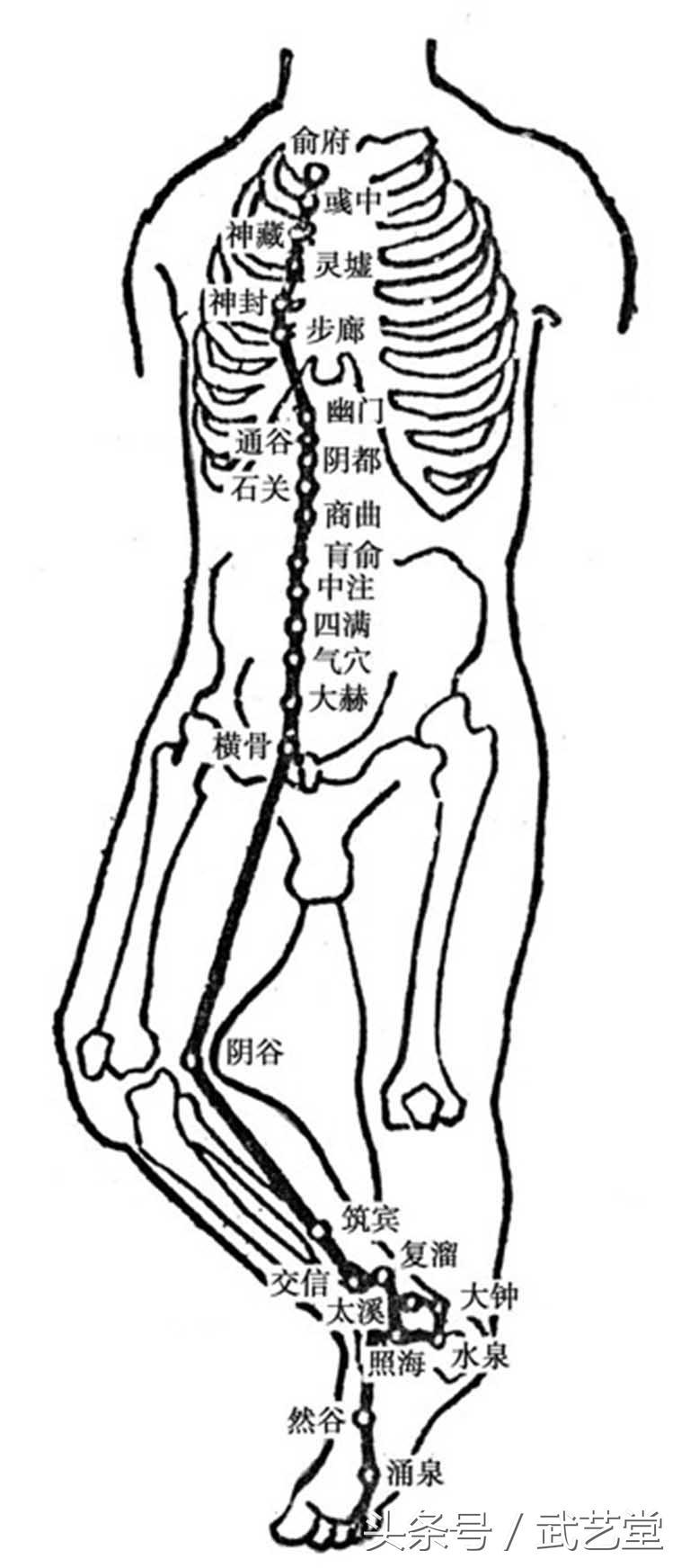 足少阴肾经穴 起自涌泉穴