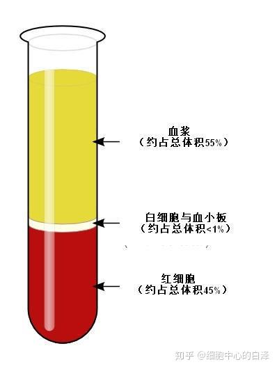 输血真的是“输血”吗？关于输血的那些事 - 知乎