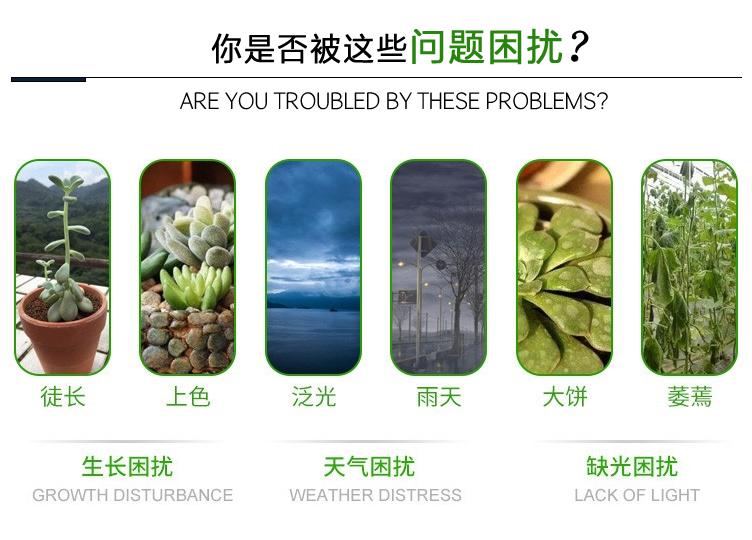 植物生长灯 激光植物补光灯介绍 知乎