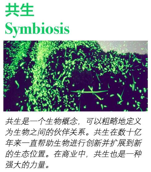 共生 / Symbiosis - 知乎