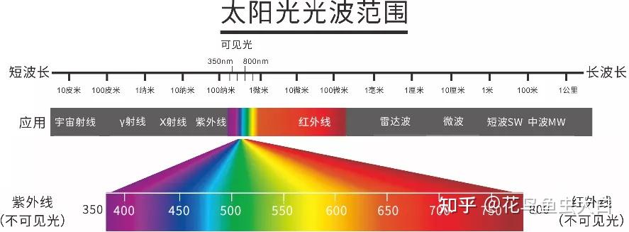 植物光质生物学——LED植物照明理论的基础 - 知乎