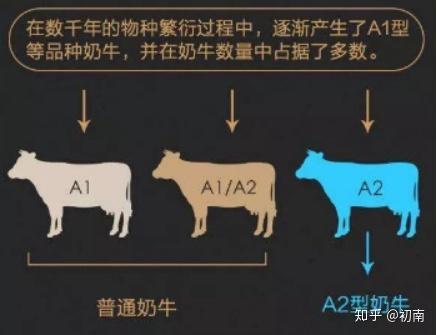 认养一头牛新出的a2β-酪蛋白纯牛奶好在哪儿?