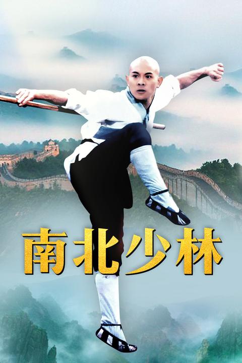 电影《南北少林》有哪些有趣的细节?