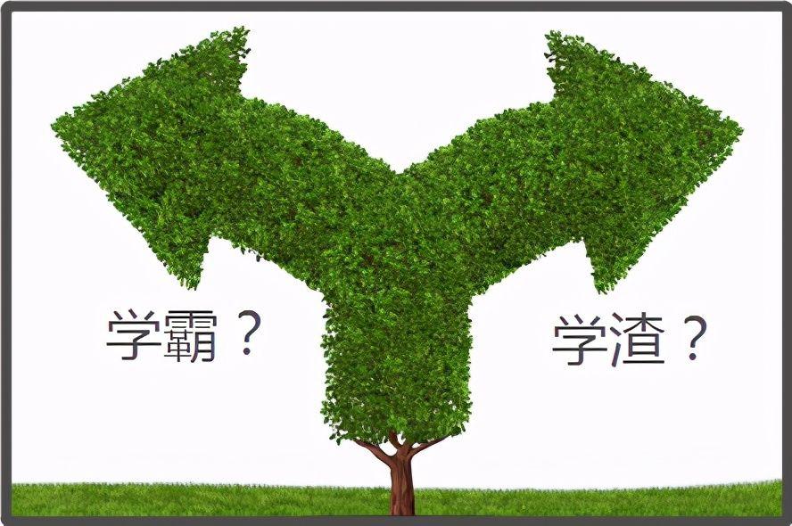 为什么学霸不喜欢给学渣讲题？(为什么学霸不喜欢跟学渣讲题?真的是因为看不起吗?)-第1张图片-鲸幼网