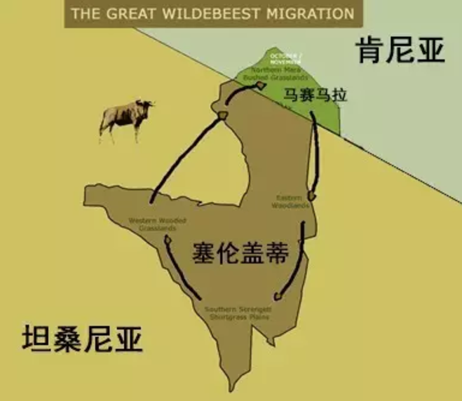 塞伦盖蒂大草原和a股