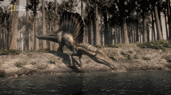 每天1分钟背单词词根memor