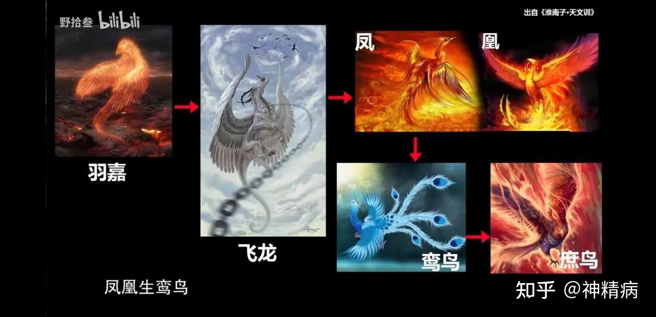 飞龙生凤,凤生鸾,鸾生庶鸟.