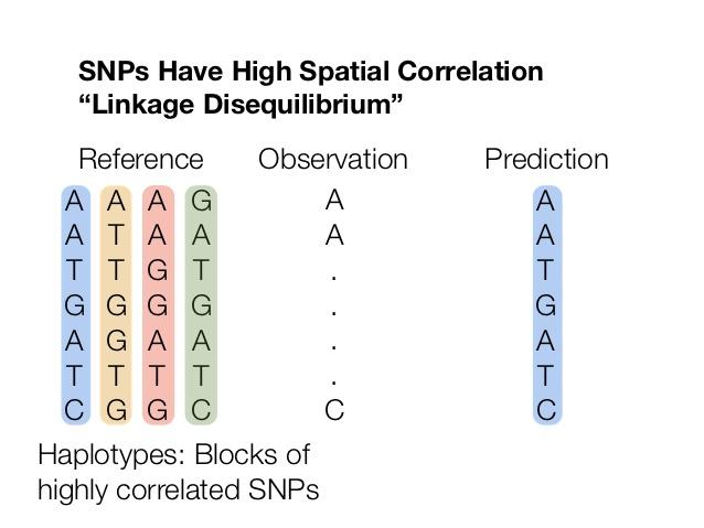 基因型填充(Genotype-Imputation)：从原理到操作 - 知乎