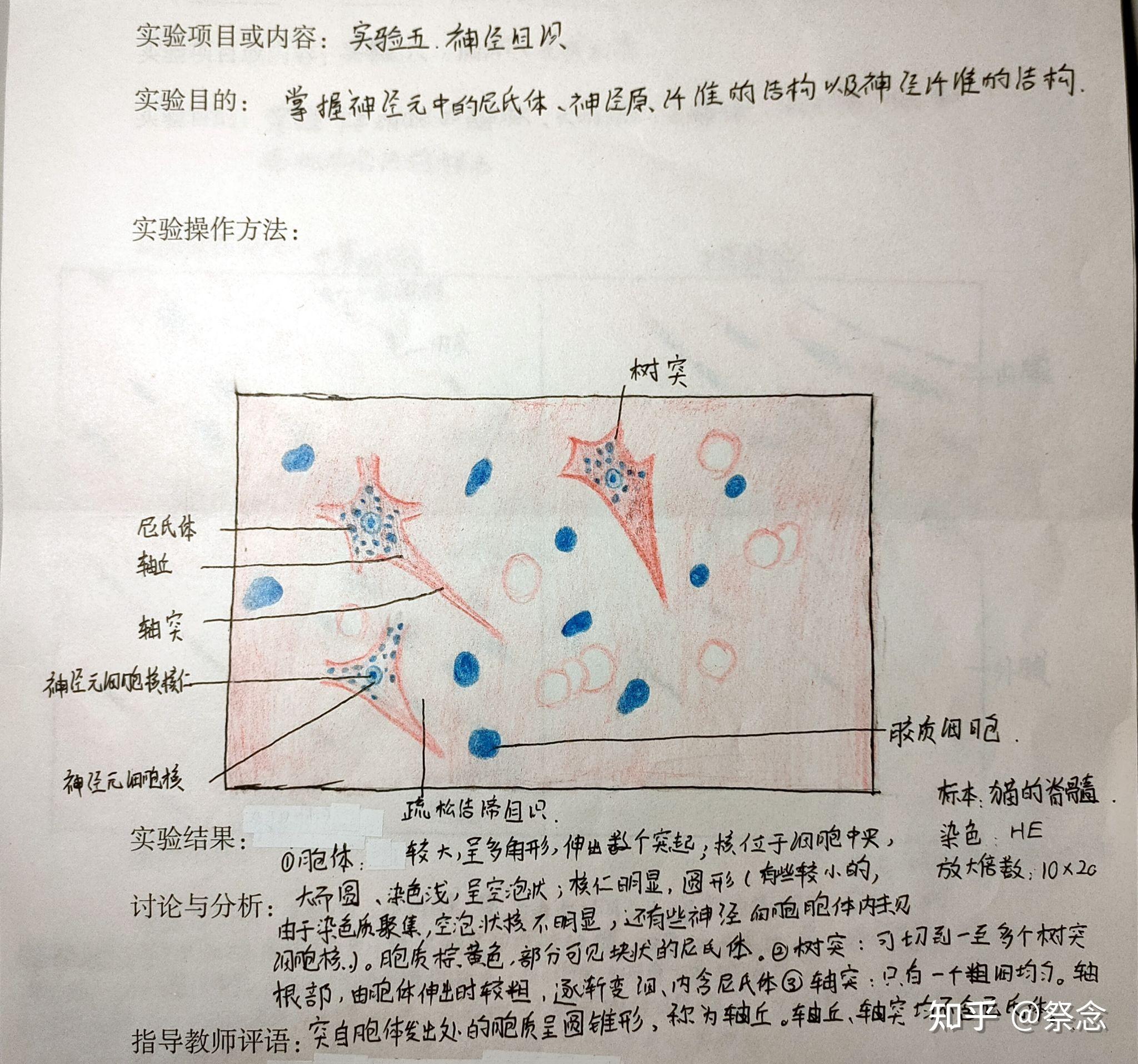 尼氏体红蓝铅笔图片