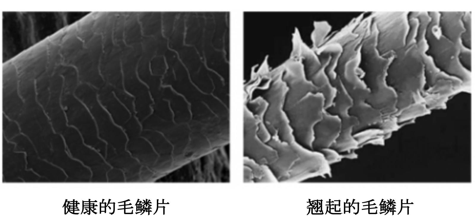 一,跟吹风机有关的,头发护理重点