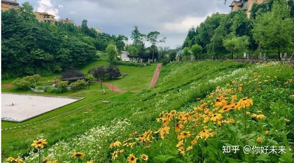 重慶仙女山春季旅遊攻略