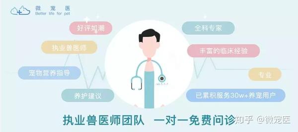 某位兽医一天内做了10台公猫去势手术,换言之,他拆了20颗猫的蛋蛋