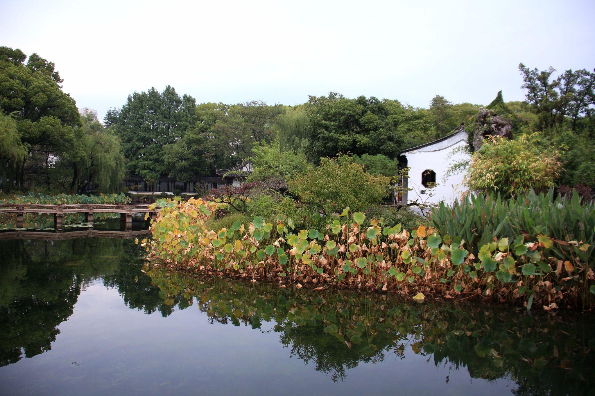 十一自驾好去处-太仓南园