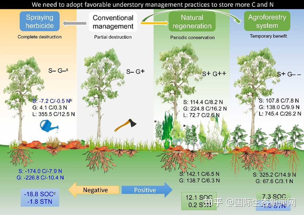 林下植被管理对橡胶林土壤碳氮储量的影响 - 知乎